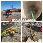 고양하수도막힘1