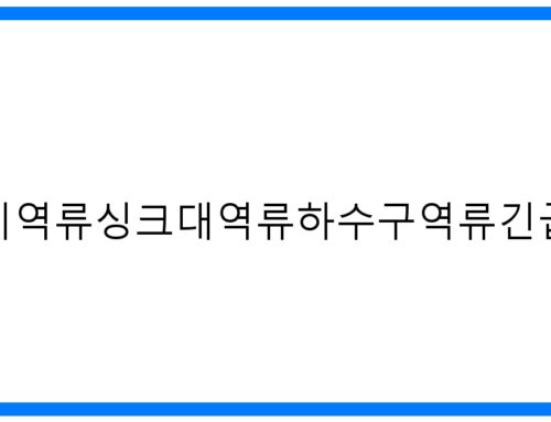 강동구 변기/싱크대/하수구 역류? 24시 긴급 해결!