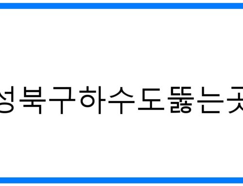 성북구하수도뚫는곳, 막힘없이 시원하게! 확실한 해결
