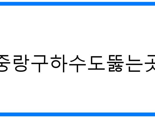 중랑구하수도뚫는곳 확실한 해결! 막힘 원인부터 예방까지
