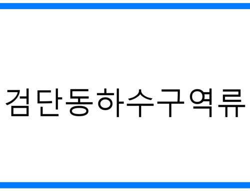 검단동하수구역류, 꼼꼼 해결! 원인부터 예방까지 완벽 가이드