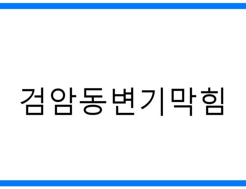 검암동변기막힘 해결사! 꽉 막힌 변기 뚫는 완벽 가이드