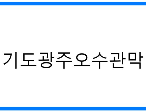 경기도광주오수관막힘 해결! 뚫음 전문가의 완벽 가이드