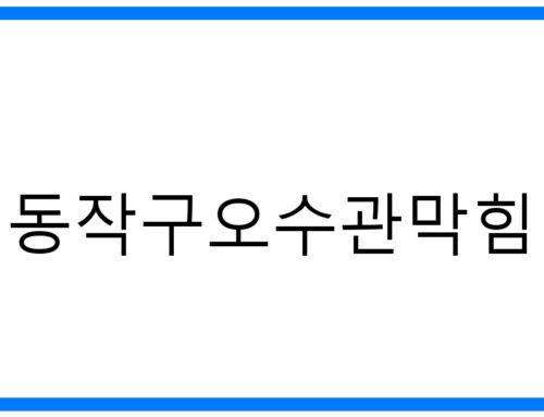 동작구오수관막힘, 확실한 해결법과 예방 팁