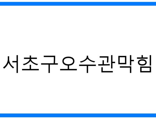 서초구오수관막힘: 효과적인 문제 해결과 예방 방법