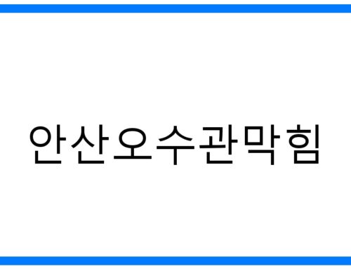 안산오수관막힘: 문제 해결을 위한 완벽 가이드