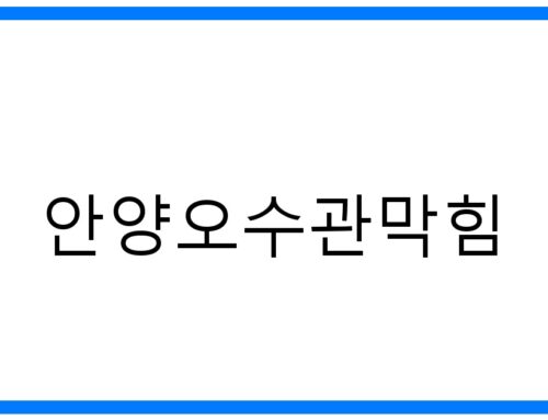 안양오수관막힘: 문제 해결을 위한 완벽 가이드