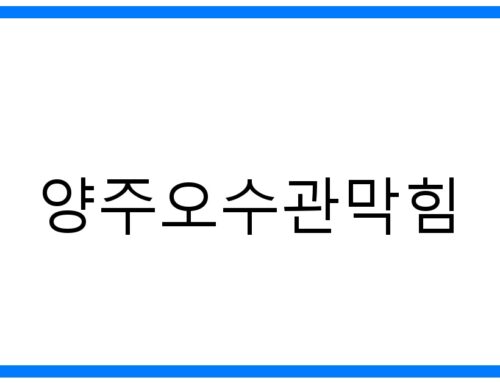 양주오수관막힘? 해결 끝판왕! 원인부터 예방까지
