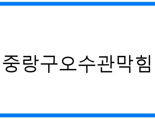 중랑구오수관막힘 해결: 원인부터 예방까지 완벽 가이드