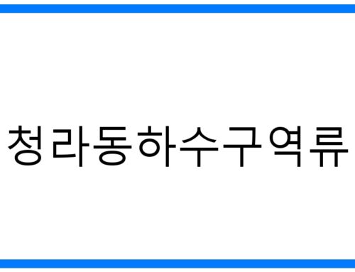 긴급! 청라동하수구역류 완벽 해결 가이드: 원인부터 예방까지
