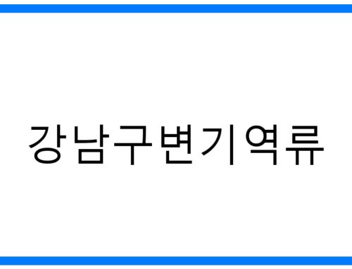 강남구변기역류🚨긴급! 원인부터 해결까지 완벽 가이드