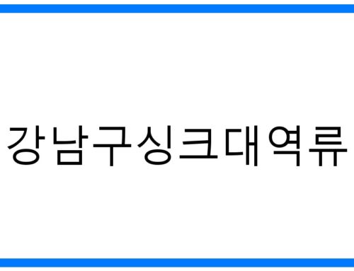 강남구싱크대역류🚨긴급 해결! 원인부터 예방까지 완벽 가이드