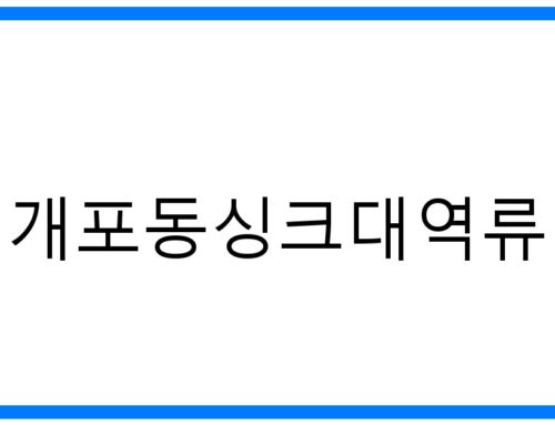 개포동싱크대역류🚨긴급 해결! 원인부터 예방까지 완벽 가이드