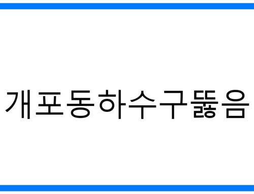 개포동하수구뚫음: 확실한 해결, 속 시원한 전문가의 손길