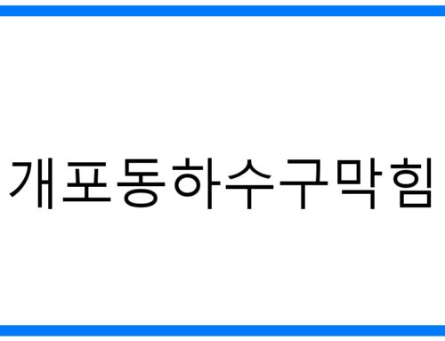 개포동하수구막힘 해결! 속 시원한 완벽 해결 비법