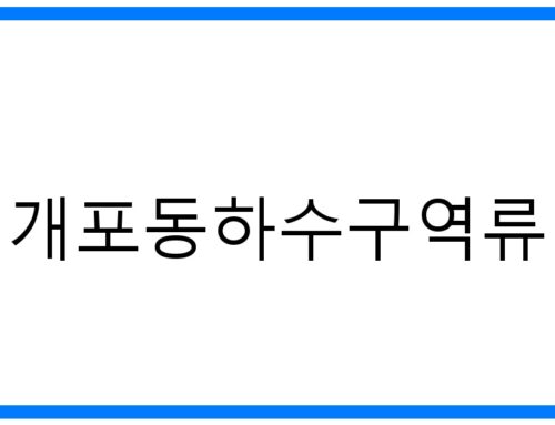 개포동하수구역류🚨긴급점검! 원인부터 해결까지 완벽 가이드