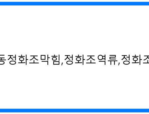 긴급! 궁내동정화조막힘, 정화조역류 완벽 해결! [원인&예방]