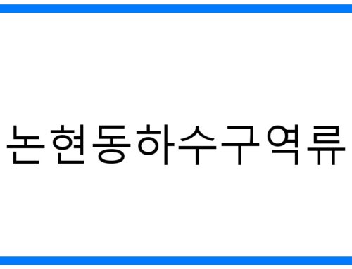 논현동하수구역류🚨긴급 해결! 원인부터 예방까지 완벽 가이드