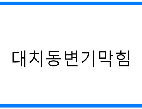긴급! 대치동변기막힘 해결, 1시간 내 완벽 해결 비법