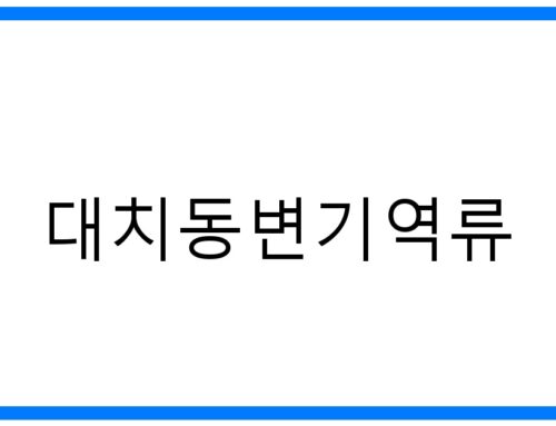 긴급! 대치동변기역류 완벽 해결 가이드: 원인부터 예방까지