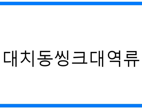 긴급! 대치동 씽크대 역류, 완벽 해결 비법 공개!