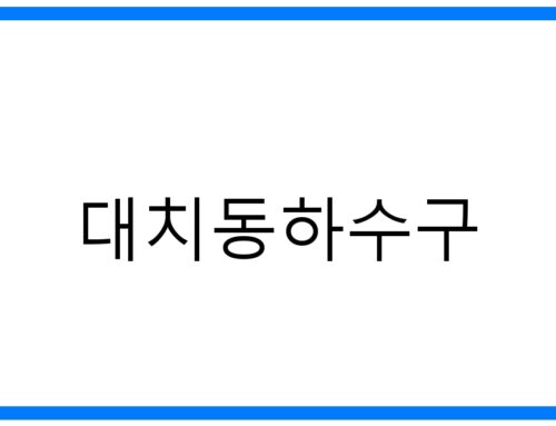 숨 막히는 대치동하수구, 완벽 해결 비법!