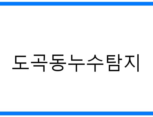 도곡동누수탐지: 완벽 해결! 숨겨진 물 새는 곳 찾기