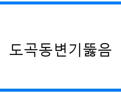 도곡동변기뚫음🚽 막힘 해결! 속 시원한 완벽 해결법