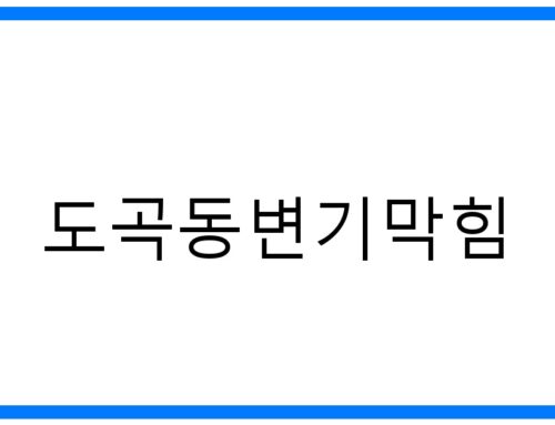 도곡동 변기 막힘 해결사! 뚫는 방법 & 긴급 출동 후기