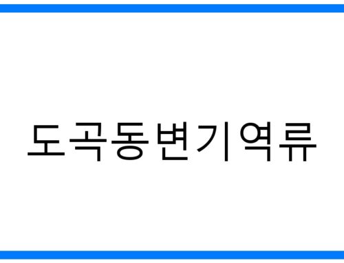 도곡동변기역류, 긴급 해결! 완벽 가이드