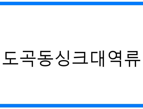 도곡동싱크대역류, 완벽 해결! 원인부터 예방까지