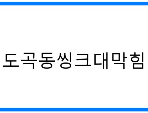 도곡동 씽크대막힘 해결사! 확실한 뚫음 비법 & 예방꿀팁