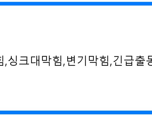 둔대동하수구막힘 긴급 해결! 싱크대/변기 뚫음 전문가 010-3084-0089