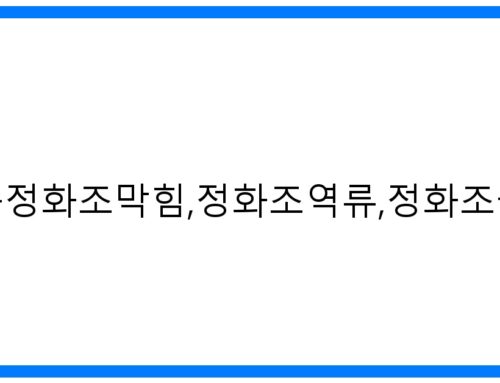 목동정화조막힘,역류 긴급 해결! 완벽 뚫음 솔루션