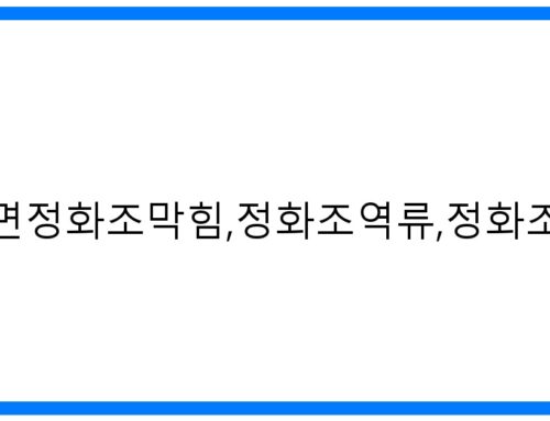 진위면정화조막힘,정화조역류,정화조뚫음: 완벽히 해결하는 방법