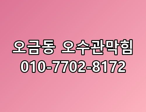 오금동 오수관막힘 010-7702-8172 의외의 포인트가 숨어있었습니다