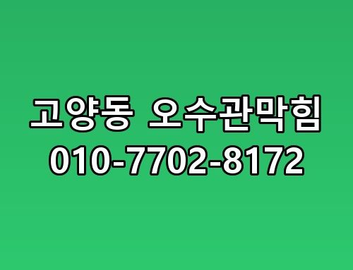 고양동 오수관막힘 010-7702-8172 놓치면 후회할 포인트