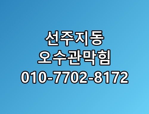 선주지동 오수관막힘 010-7702-8172 놓치면 후회할 포인트