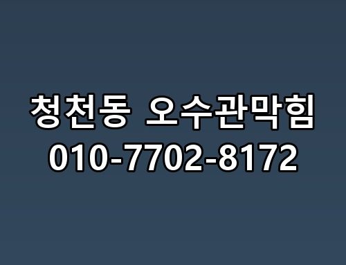청천동 오수관막힘 010-7702-8172 늦기 전에 부르길 정말 잘했다