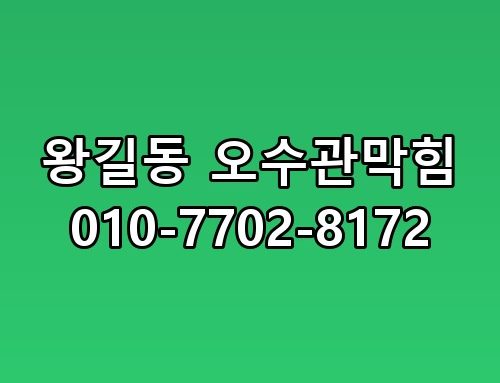 왕길동 오수관막힘 010-7702-8172 생각보다 복잡하더라고요
