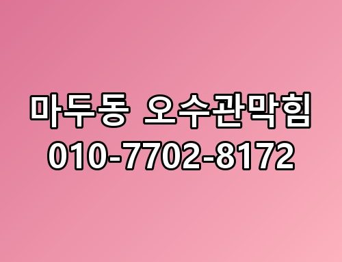마두동 오수관막힘 010-7702-8172 지금 상황 정리해봤습니다