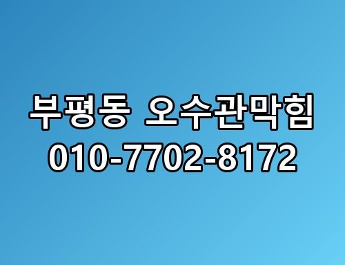 부평동 오수관막힘 010-7702-8172 진짜 이게 맞나 싶더라고요