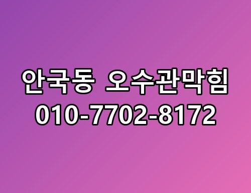 안국동 오수관막힘 010-7702-8172 지금 상황 정리해봤습니다