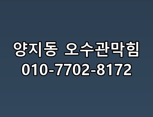 양지동 오수관막힘 010-7702-8172 놓치면 후회할 포인트