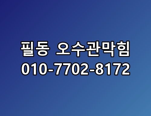필동 오수관막힘 010-7702-8172 원인 분석 솔직히 이게 맞는 것