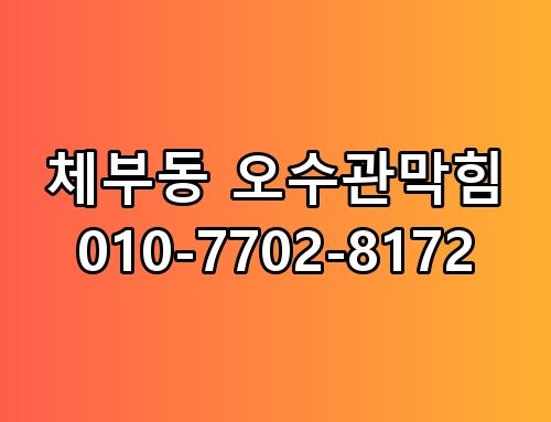 체부동 오수관막힘 010-7702-8172 진짜 이게 맞나 싶더라고요