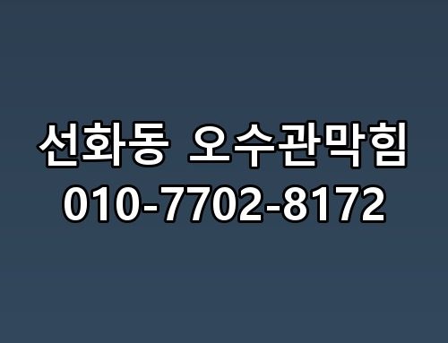선화동 오수관막힘 010-7702-8172 생각보다 복잡하더라고요