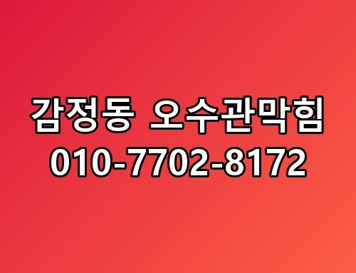 감정동 오수관막힘 010-7702-8172 직접 확인해봤어요