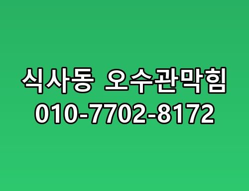 식사동 오수관막힘 010-7702-8172 놓치면 후회할 포인트