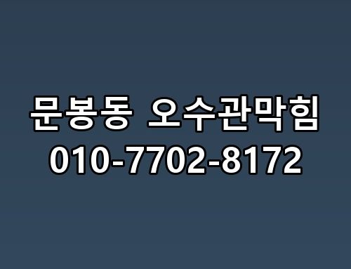 문봉동 오수관막힘 010-7702-8172 한번 짚어봐야 할 이야기